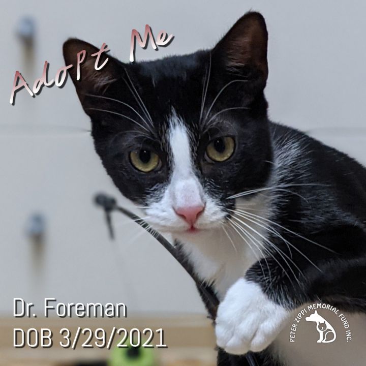 Dr. Foreman 1