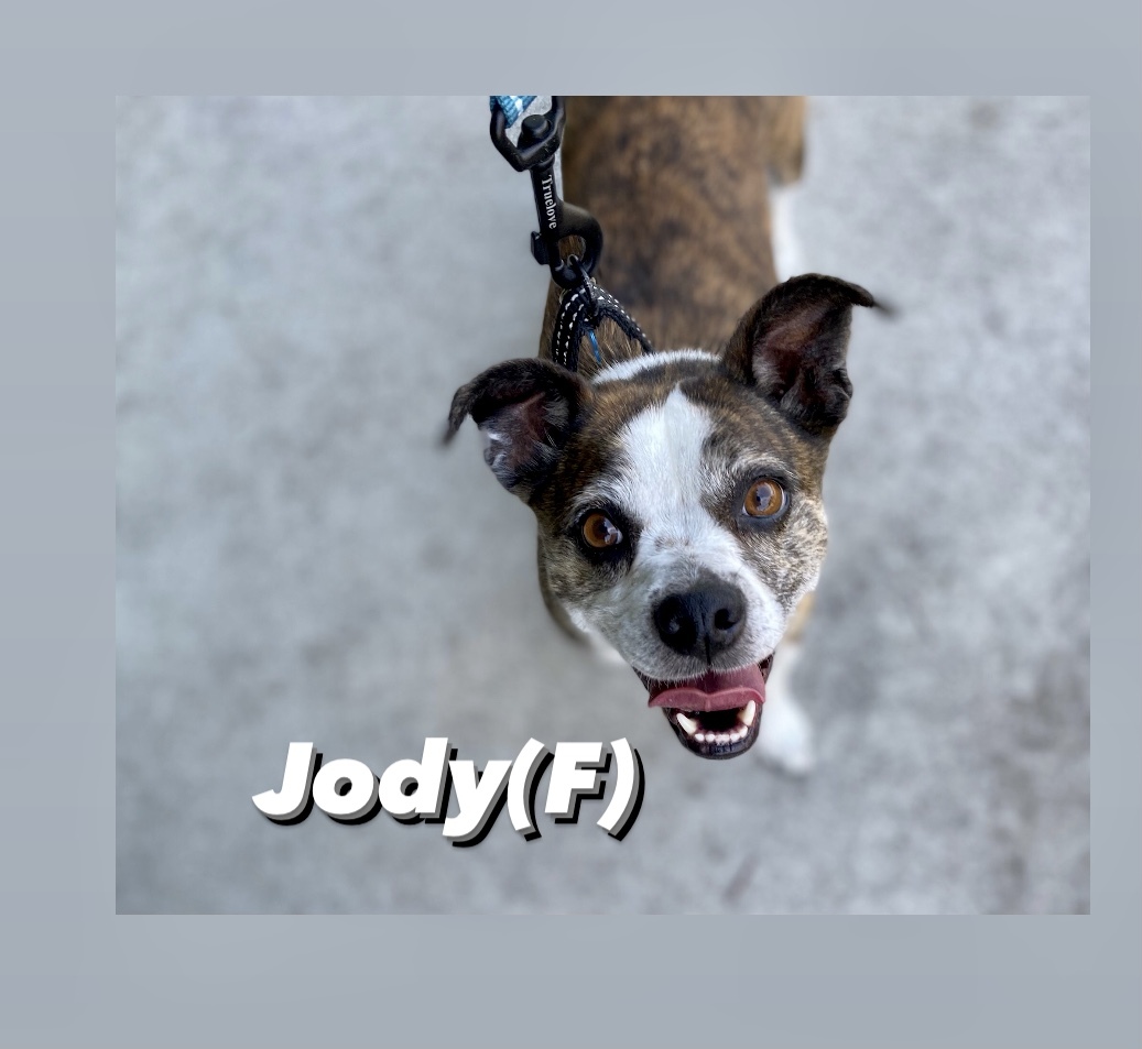Jody detail page