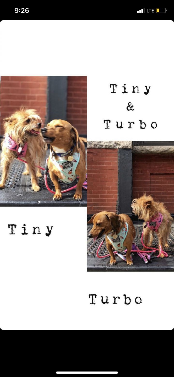 Turbo & Tiny 1