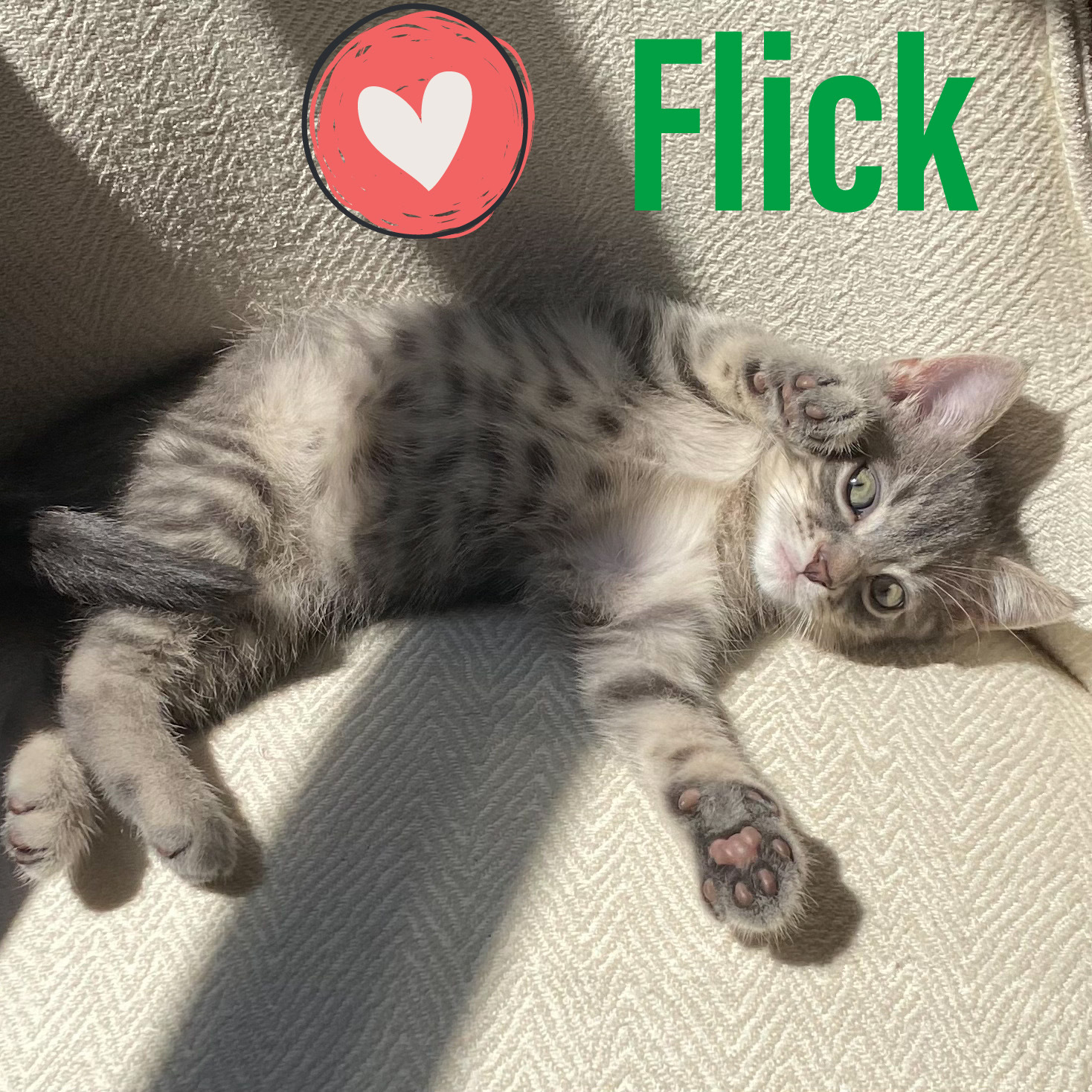 Flick detail page