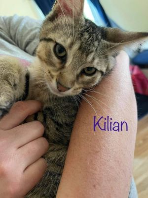 Kilian