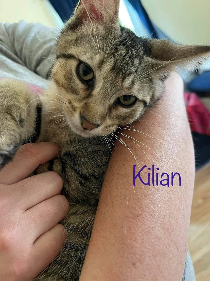 Kilian detail page