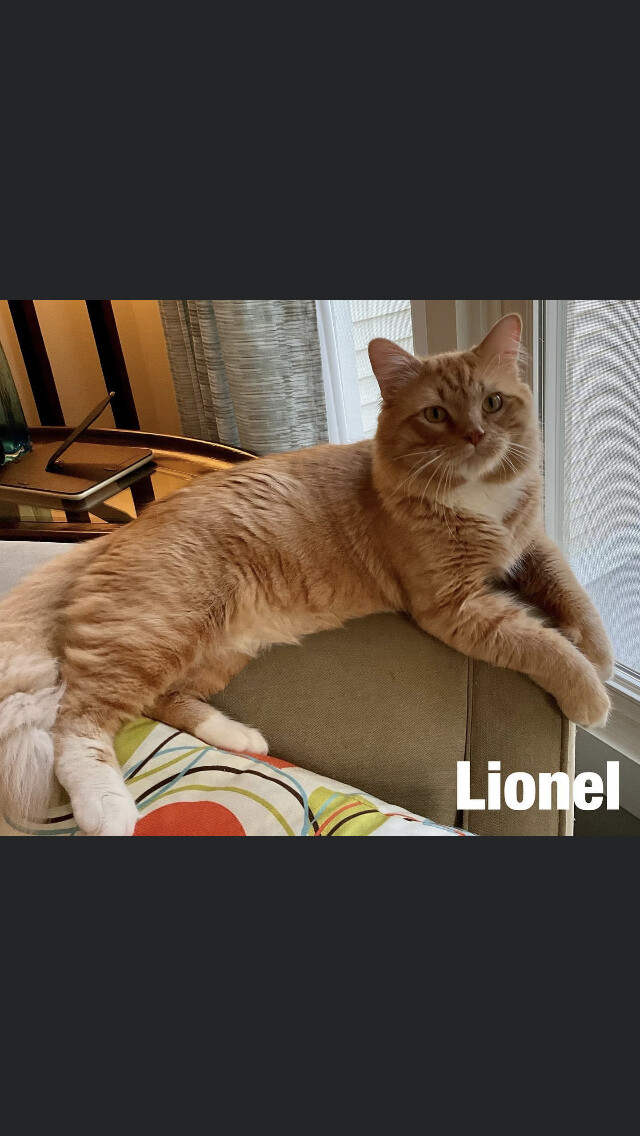 Lionel 1