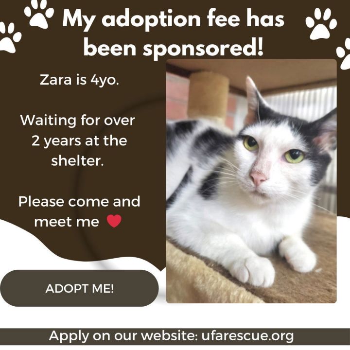 Zara 1