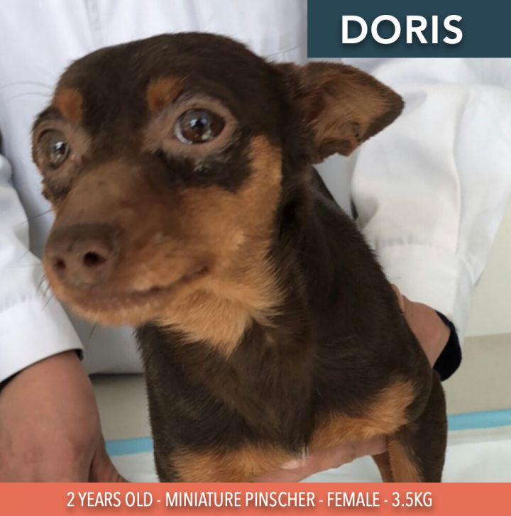 Doris 2