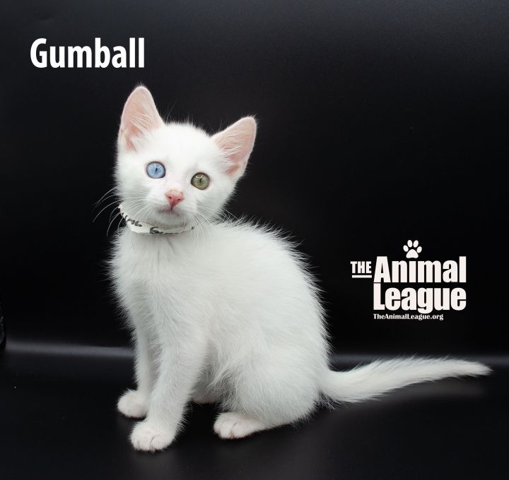 Gumball 1