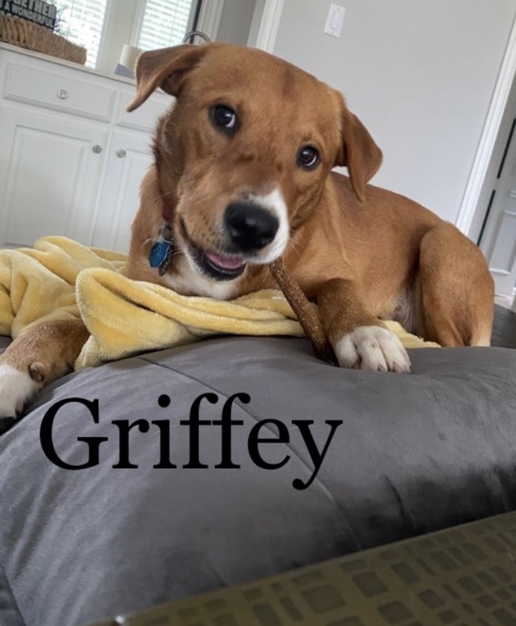 Griffey Fostered In Southlake Tx detail page