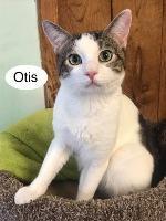 Otis 1