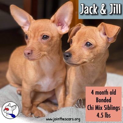 Jack (and Jill) 4