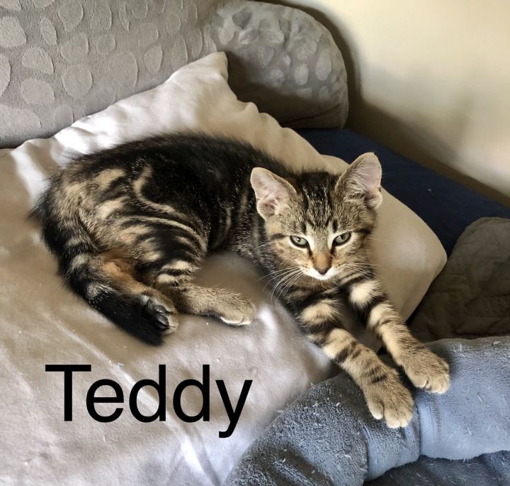 Teddy and Gus 4