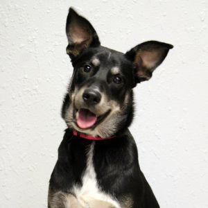Lena