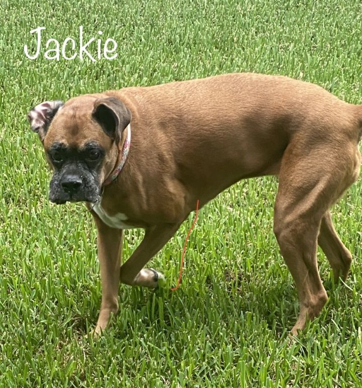 Jackie 1