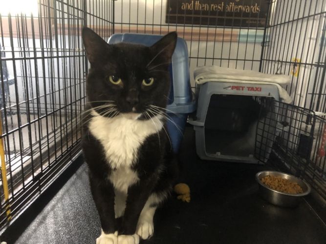 Adam - STILL AVAILABLE!