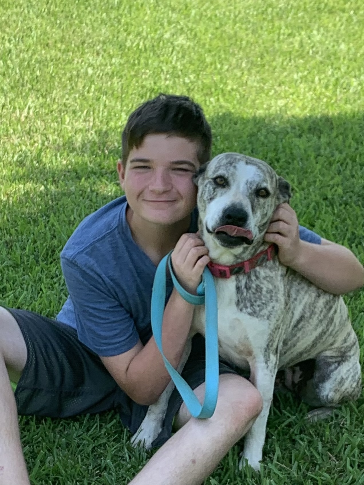 Tonks, an adoptable American Bulldog in Texarkana, TX, 75501 | Photo Image 2