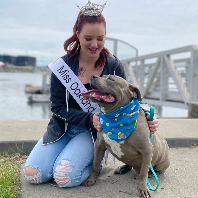 Dusty, an adoptable American Staffordshire Terrier in Oakland, CA, 94611 | Photo Image 2