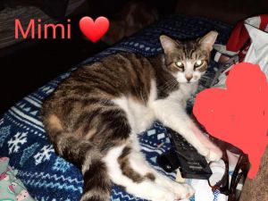 Mimi 0617