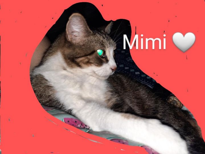 Mimi 0617 6