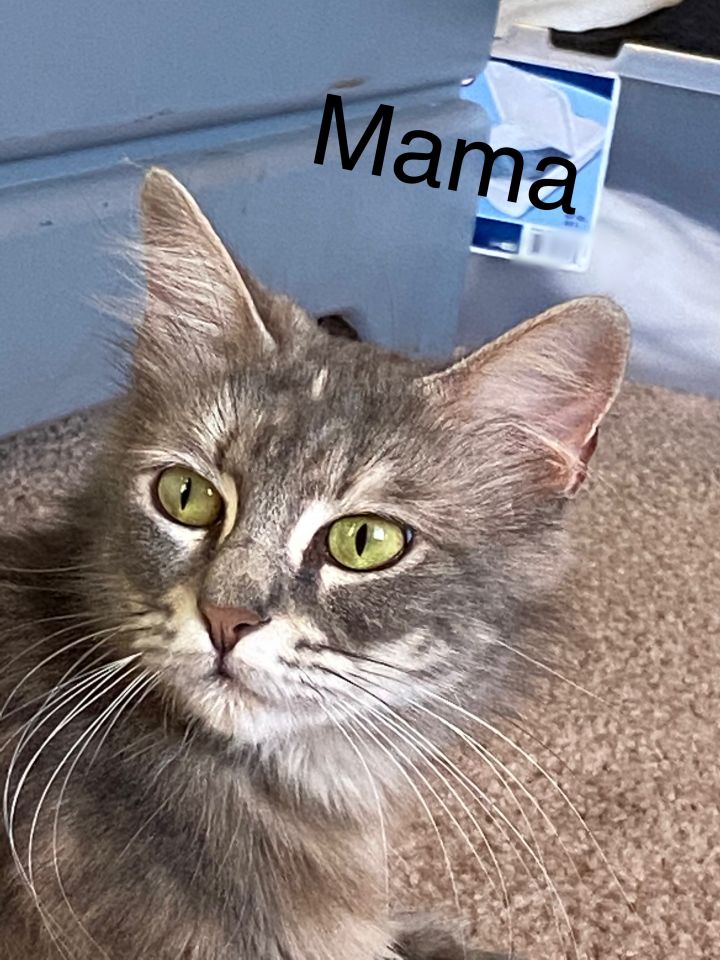 Mama 2