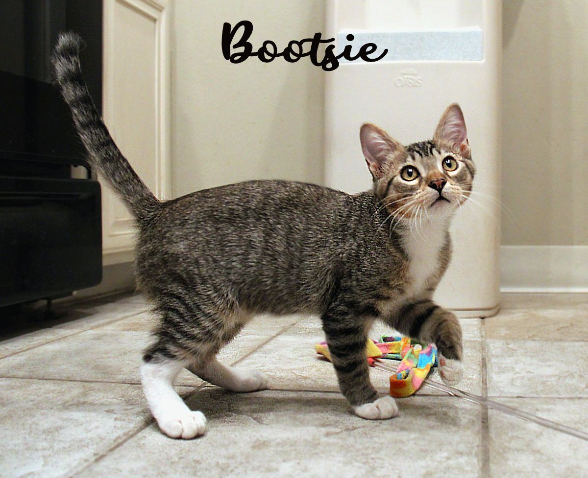 Bootsie detail page