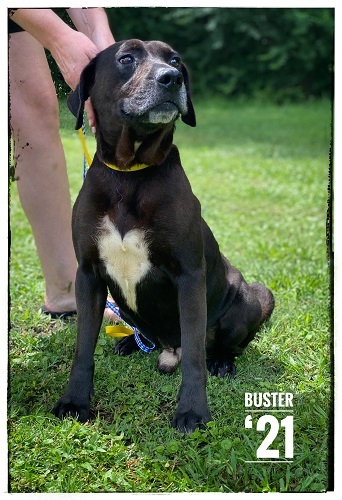 Buster #29 5