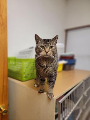 Jake, Senior Male unknown