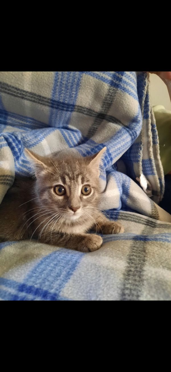 Leo