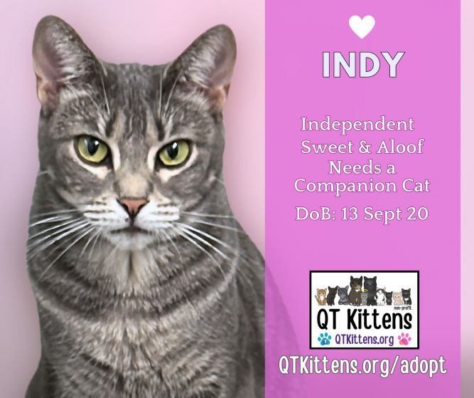 Indy