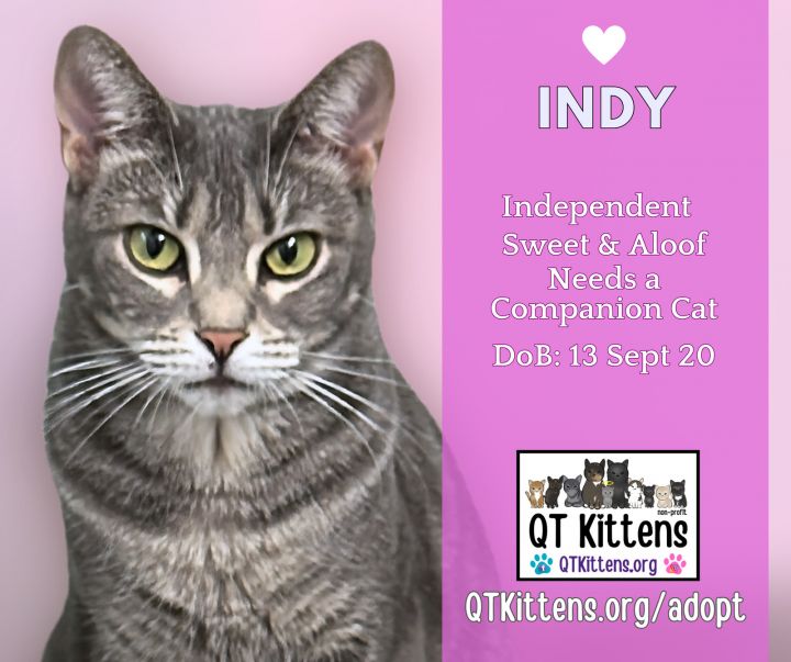 Indy 1