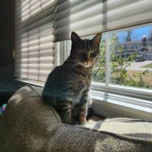 Photo of Isabella