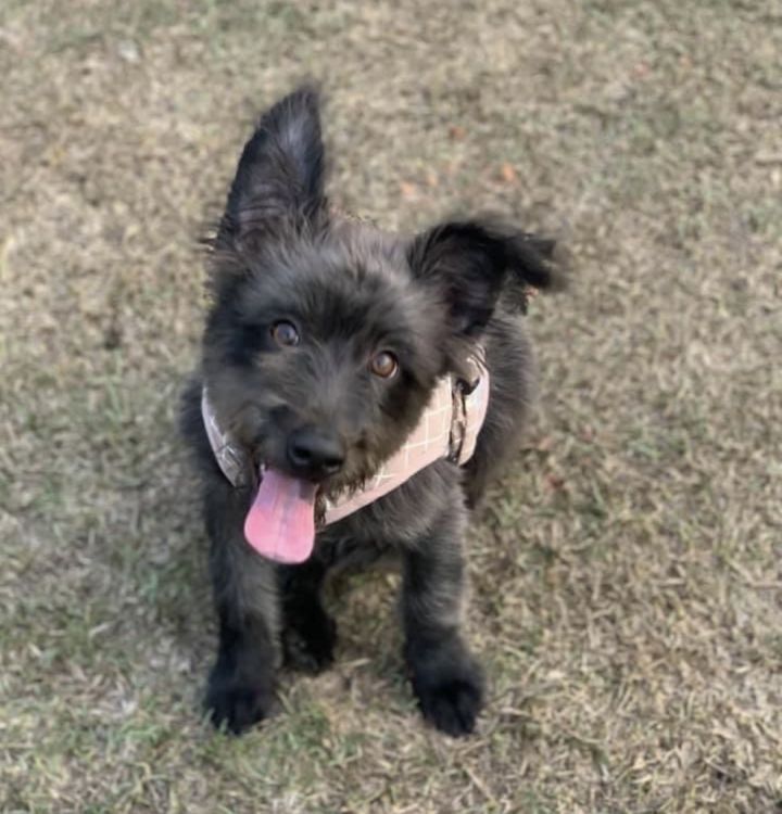 Maggie 1