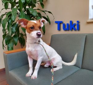 Tuki