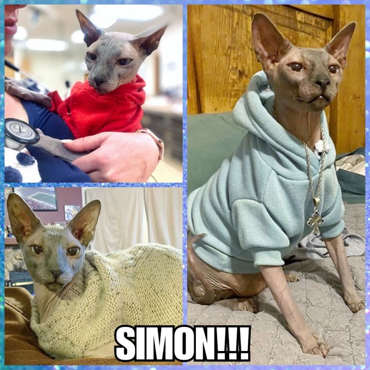 Simon 4