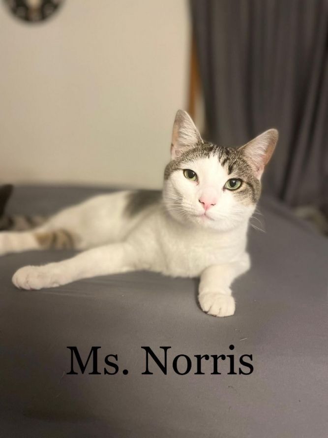 Ms. Norris