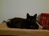 Stella Bella photo 3