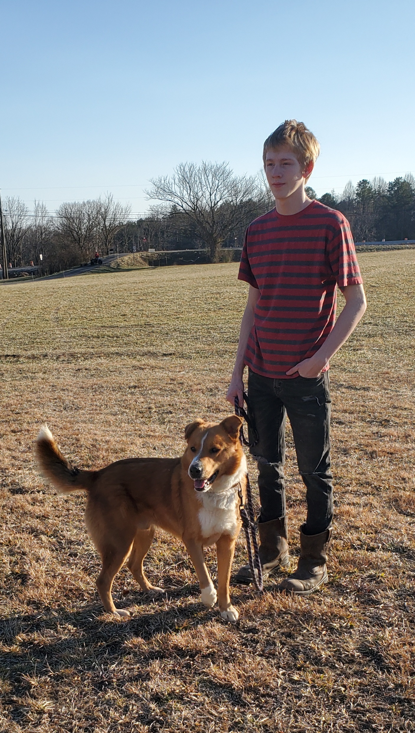 Red, an adoptable Mixed Breed in East Bernstadt, KY, 40729 | Photo Image 5