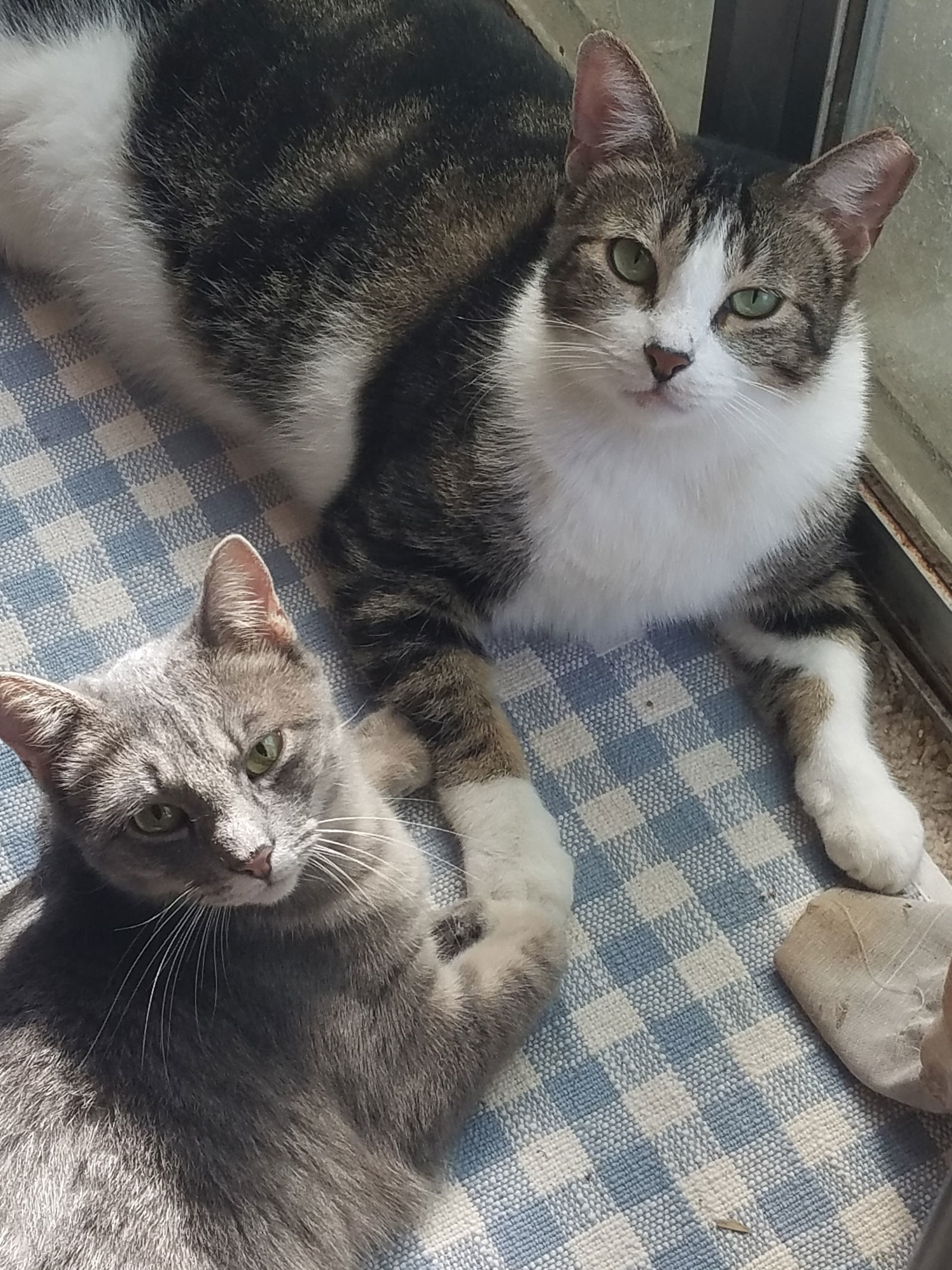Pixel
