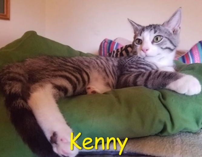 Kenny "Kenzo" (Tammy's foster)