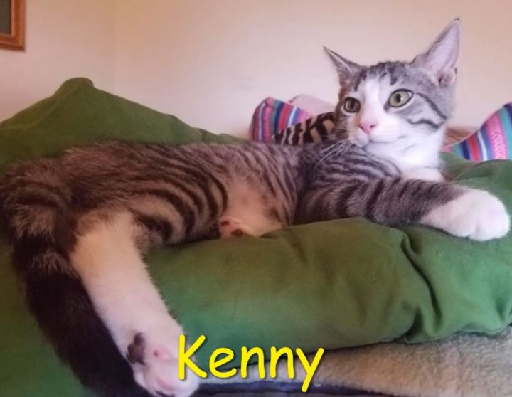 Kenny "Kenzo" (Tammy's foster) 1