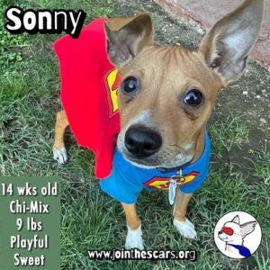 Sonny