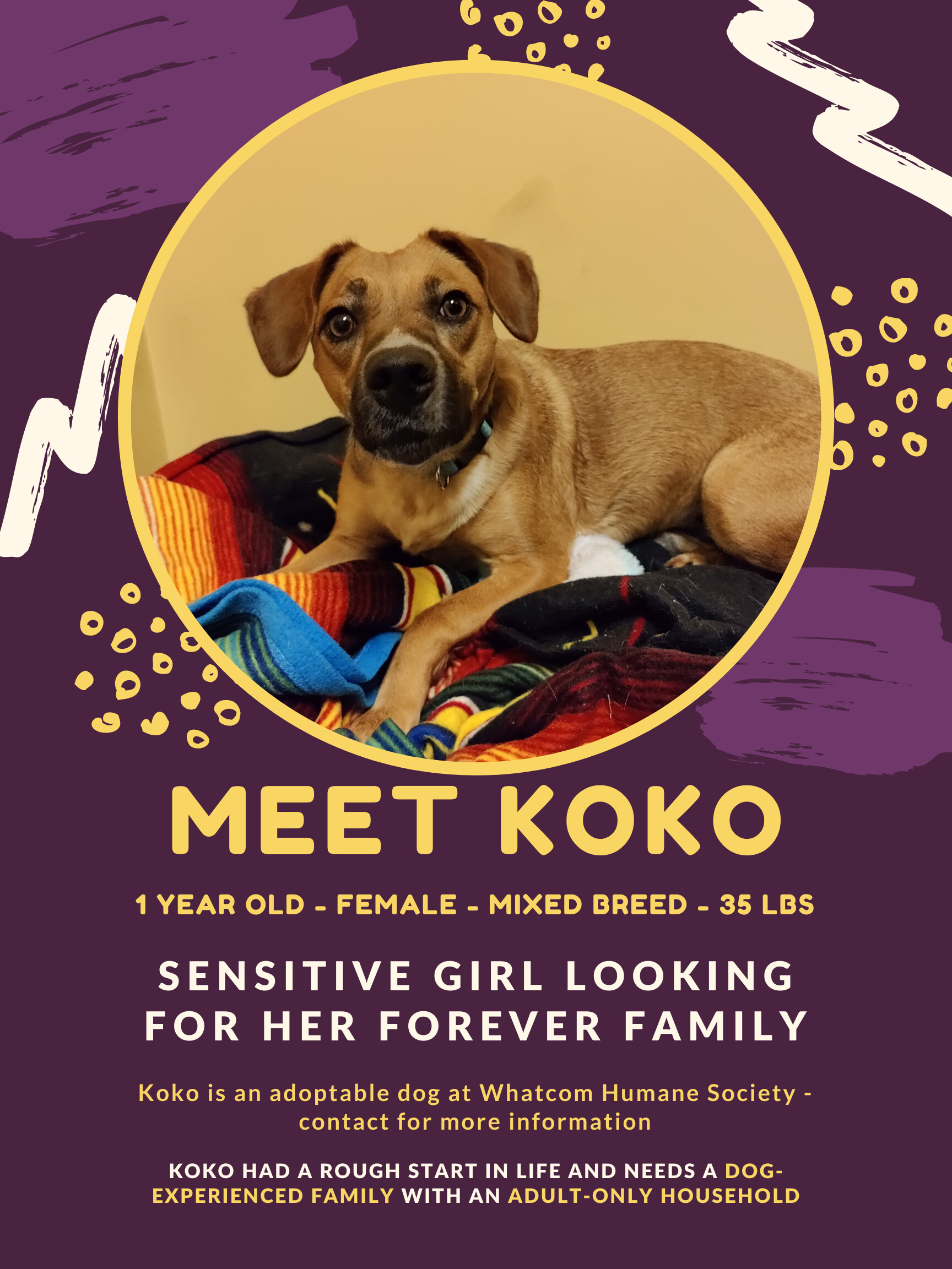 Koko detail page