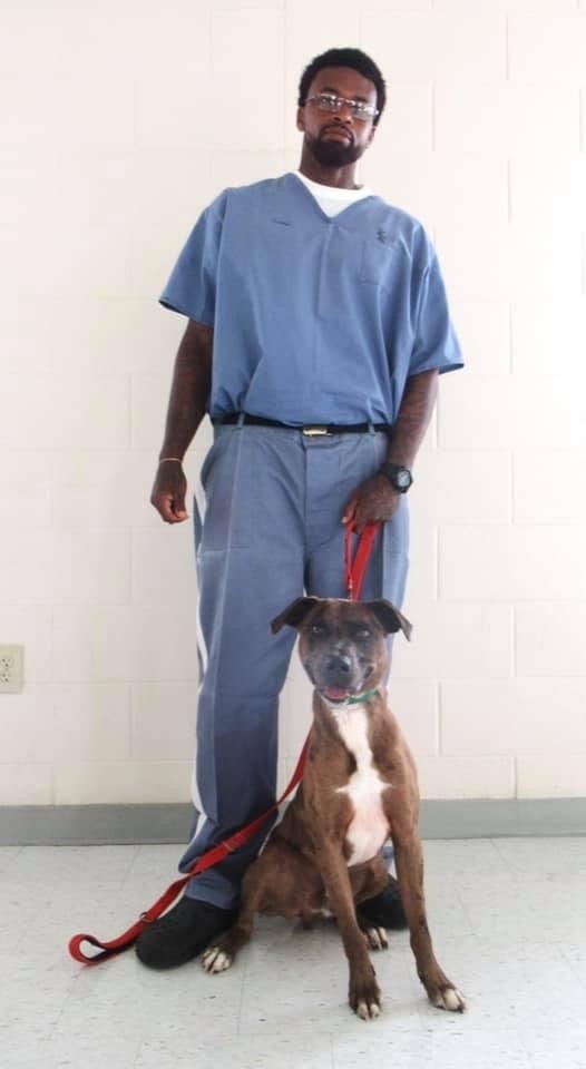 Lotto - Pawsitive Direction Program, an adoptable Pit Bull Terrier & Catahoula Leopard Dog Mix in Loxahatchee, FL_image-2
