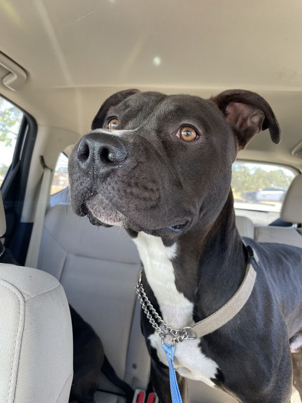 Rosco