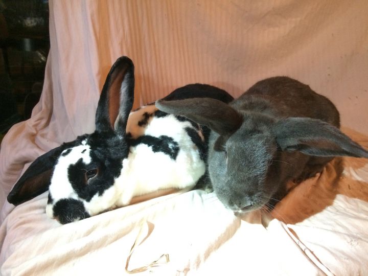 Charlotte and Milo 2