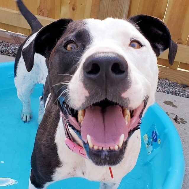 Maggie