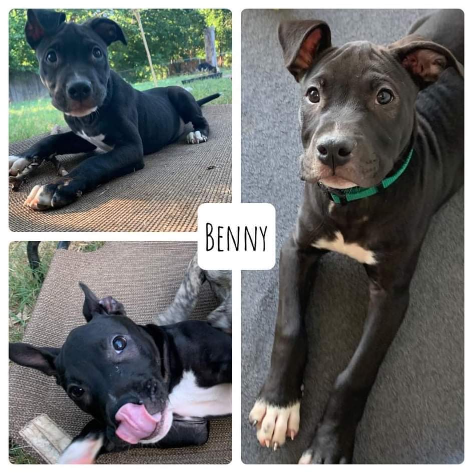 Benny detail page