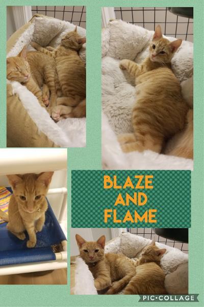 Blaze and Flame 1