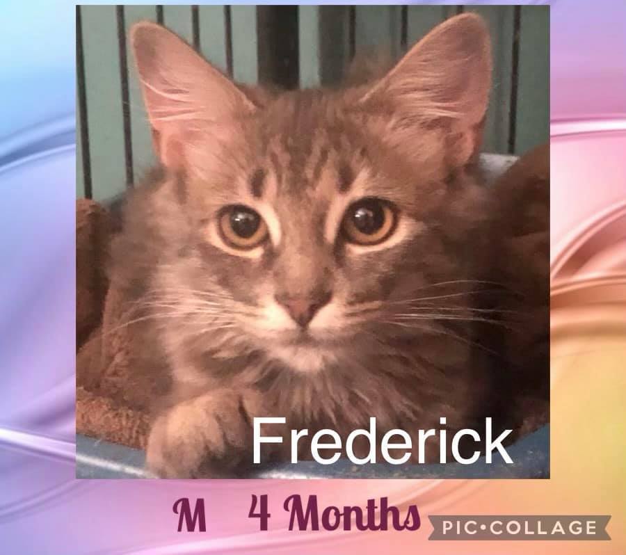 Frederick detail page