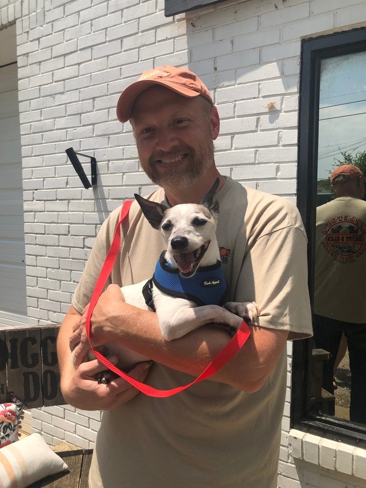 Grumpy / Toby ~, an adoptable Rat Terrier, Jack Russell Terrier in Columbia, TN, 38401 | Photo Image 3