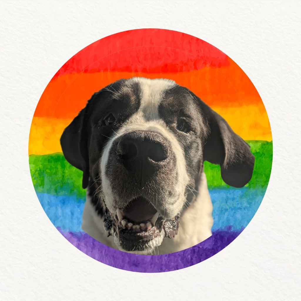 Pepper, an adoptable Mixed Breed in Meridian, ID, 83642 | Photo Image 2