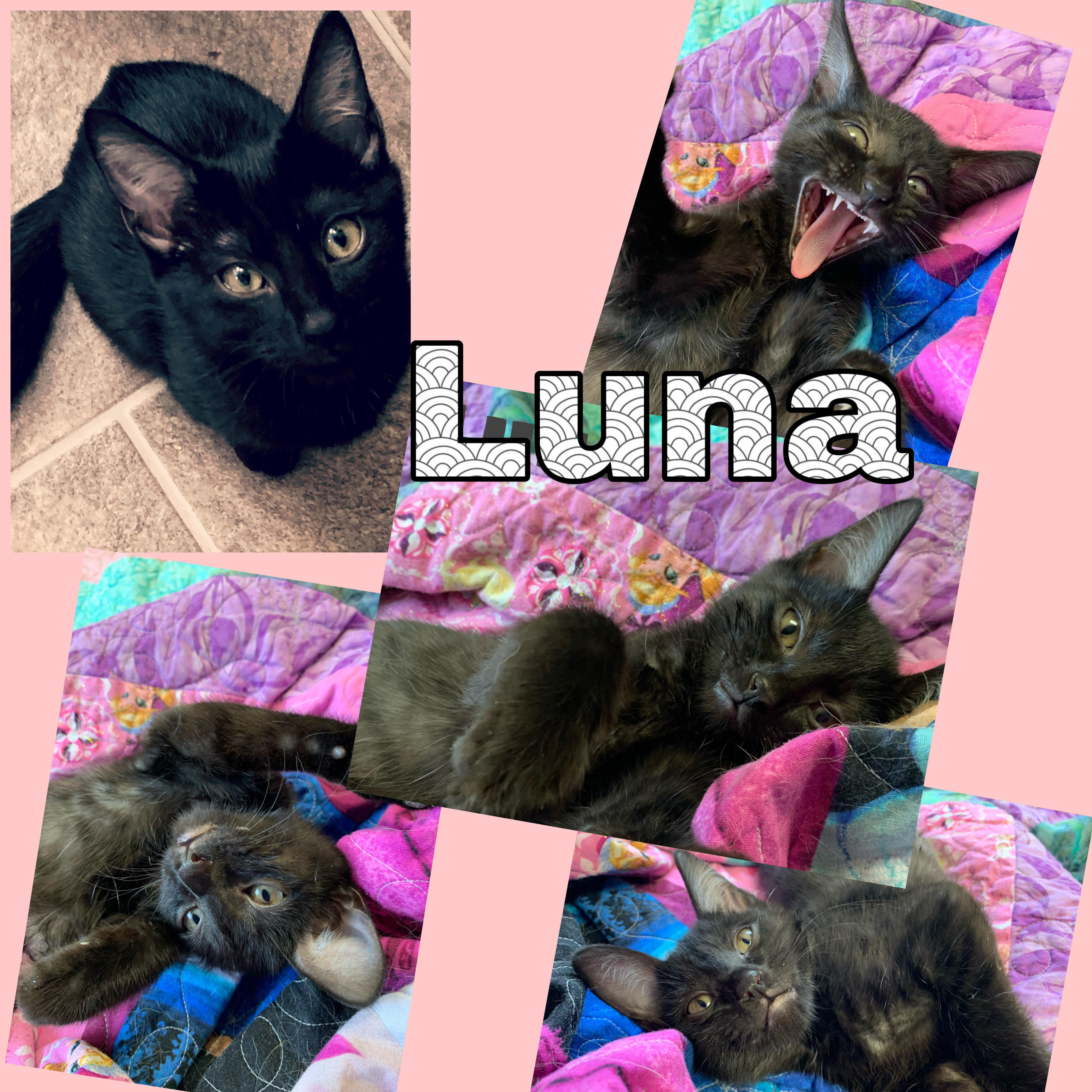 Luna detail page